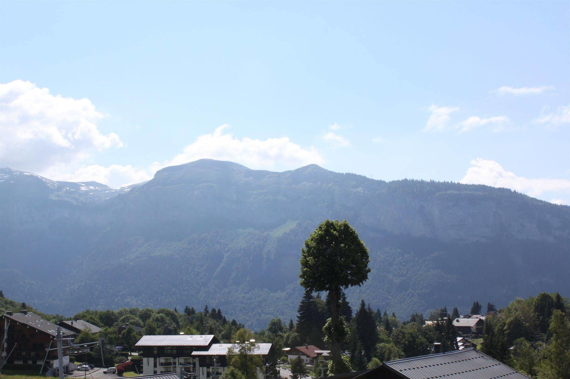 Hotel Chalet Les Airelles レ・キャローズ・ダラッシュ エクステリア 写真